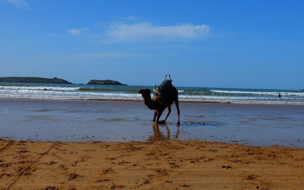 Scenery of Essaouira, Morocco (illustrative)