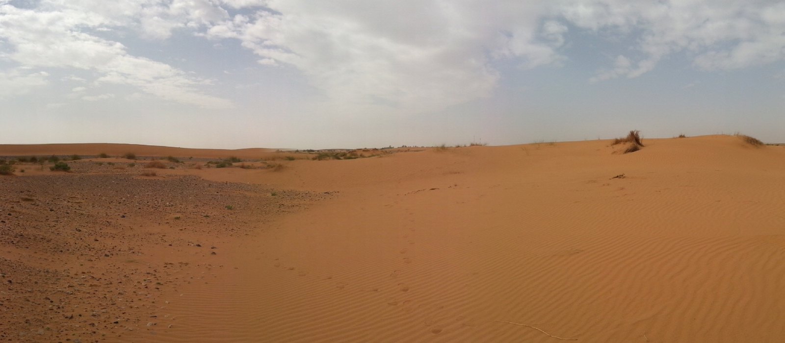A wide sweep of the Erg Chebbi dunes in the Sahara near Merzouga