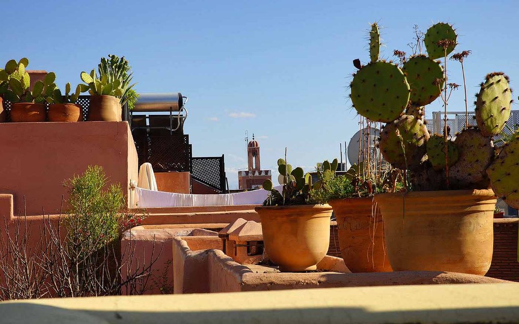 Scenery of Marrakech, Morocco (illustrative)