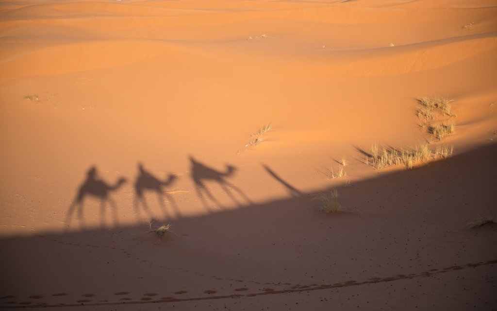 Scenery of Sahara & South, Morocco (illustrative)