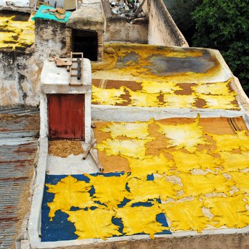Chouara Tannery, Fes