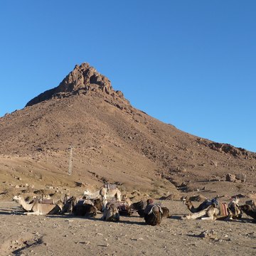 Zagora's "Timbuktu 52 days" sign, Sahara & South
